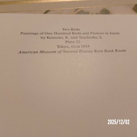 24 Caspari CHRISTMAS Cards Vintage Best Wishes 2 BIRDS KOIZUMI TSUCHOKA #16208 - Picture 6 of 6